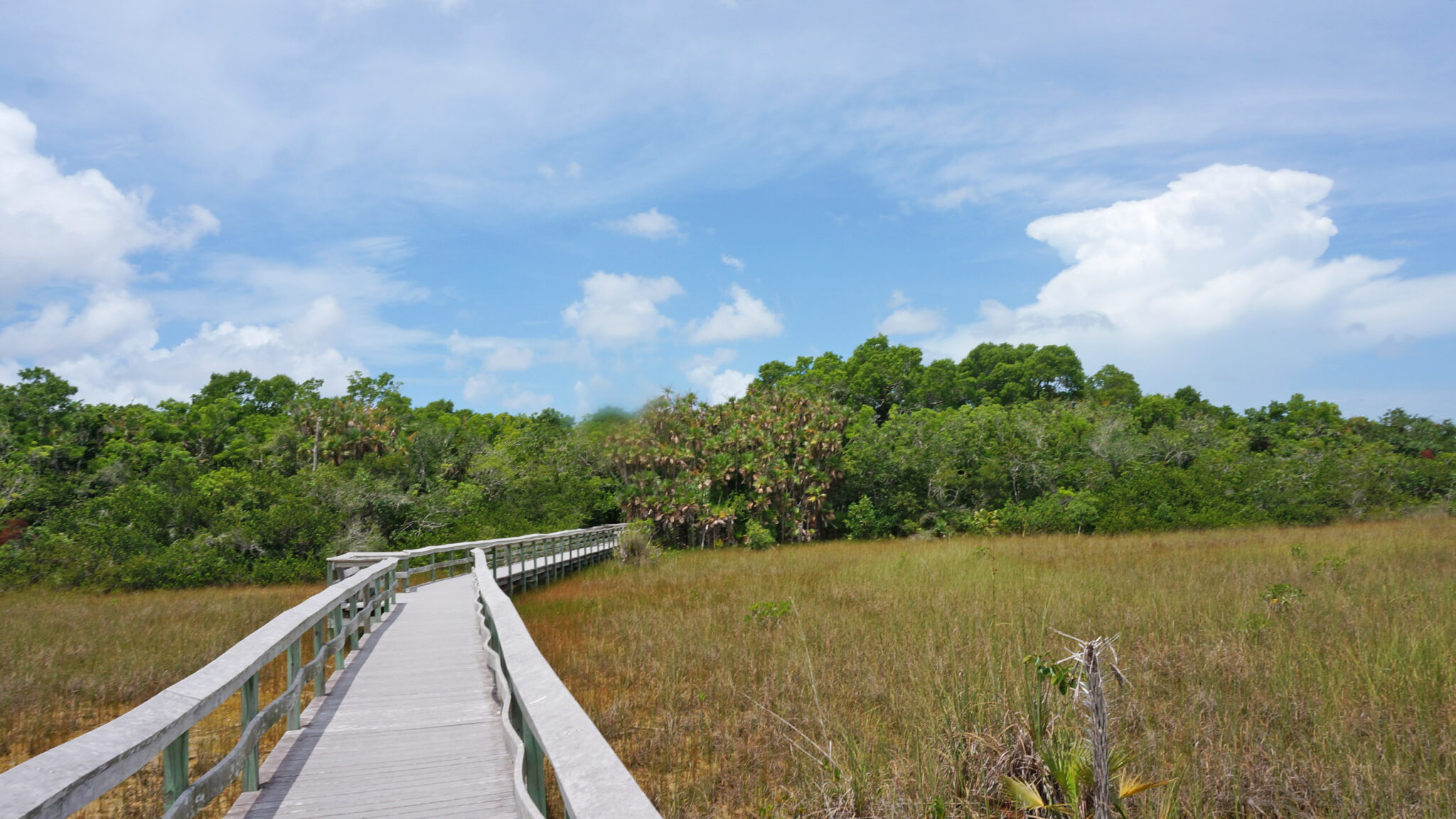 Mahogany Hammock Trail