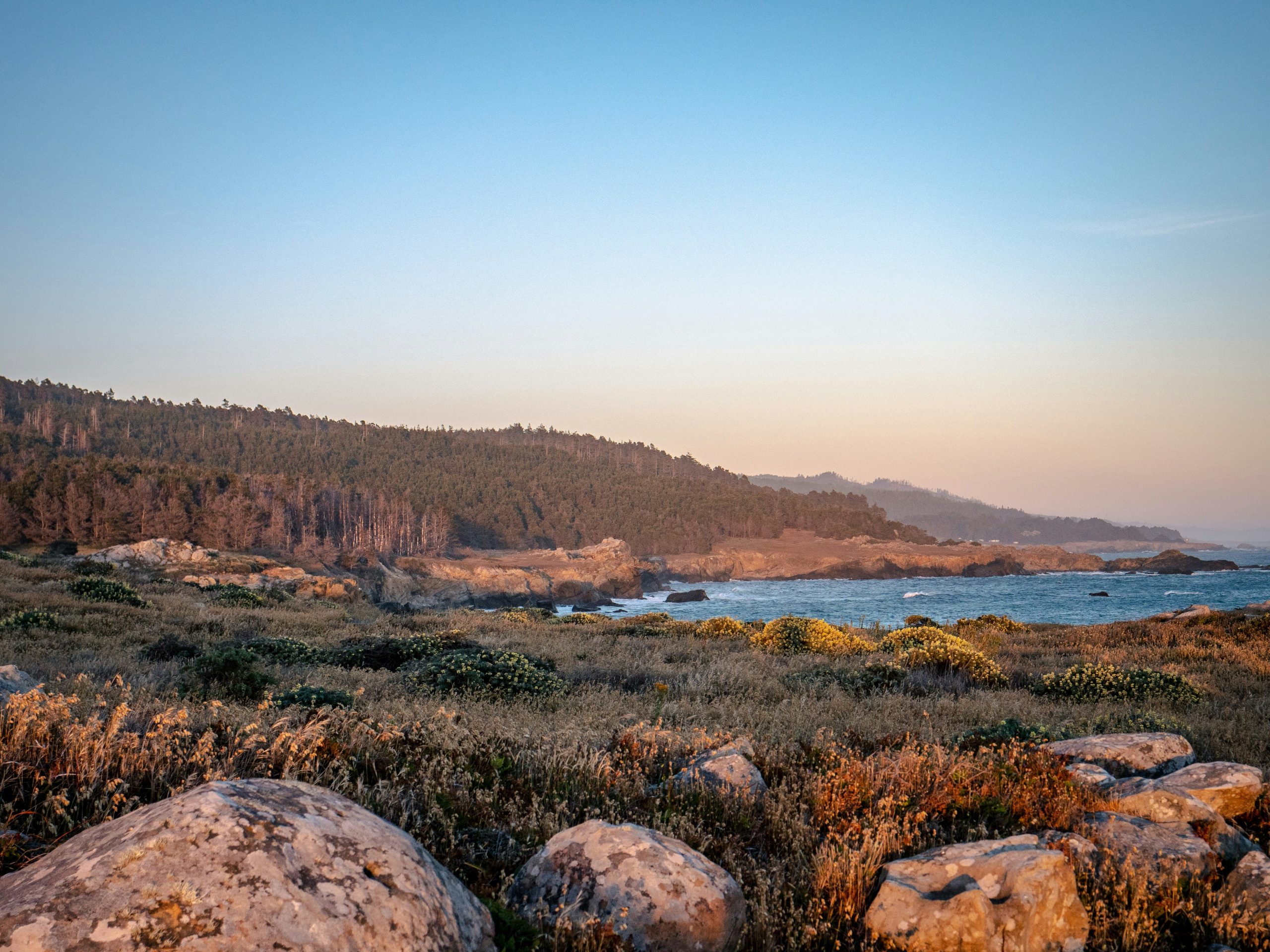 Patrick's Point State Park, California