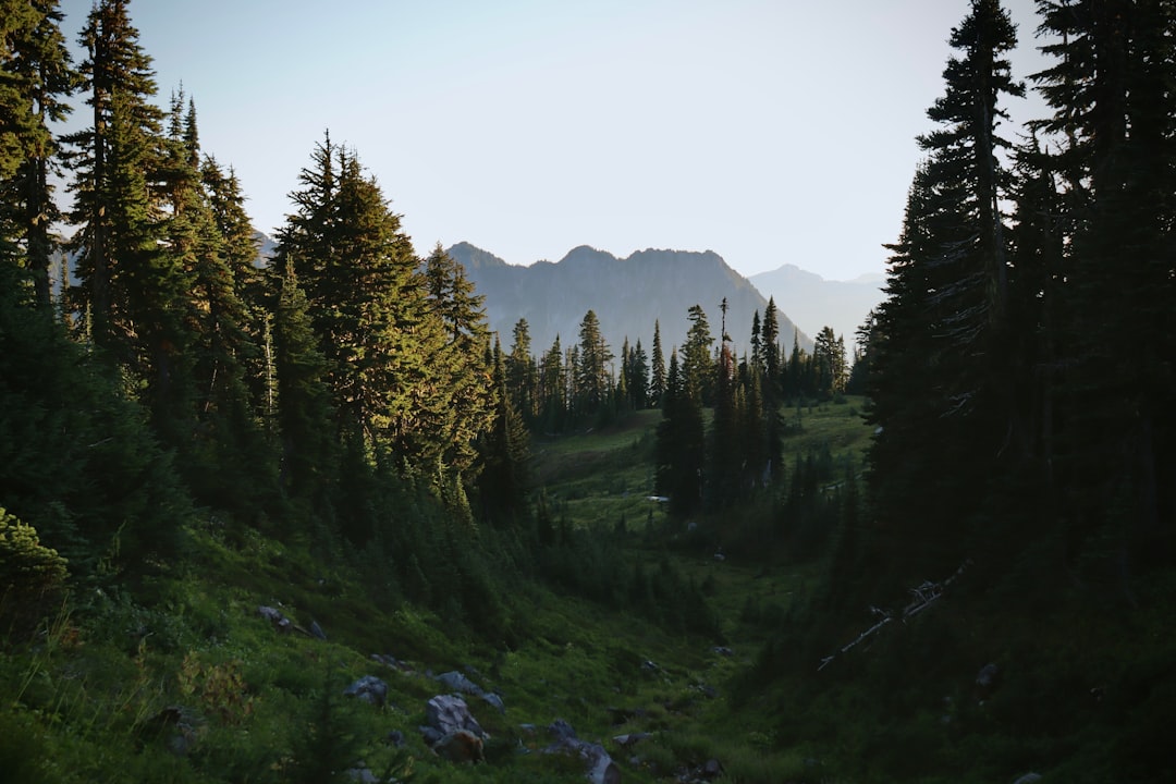 AI Day Trips & RV Attractions Generator