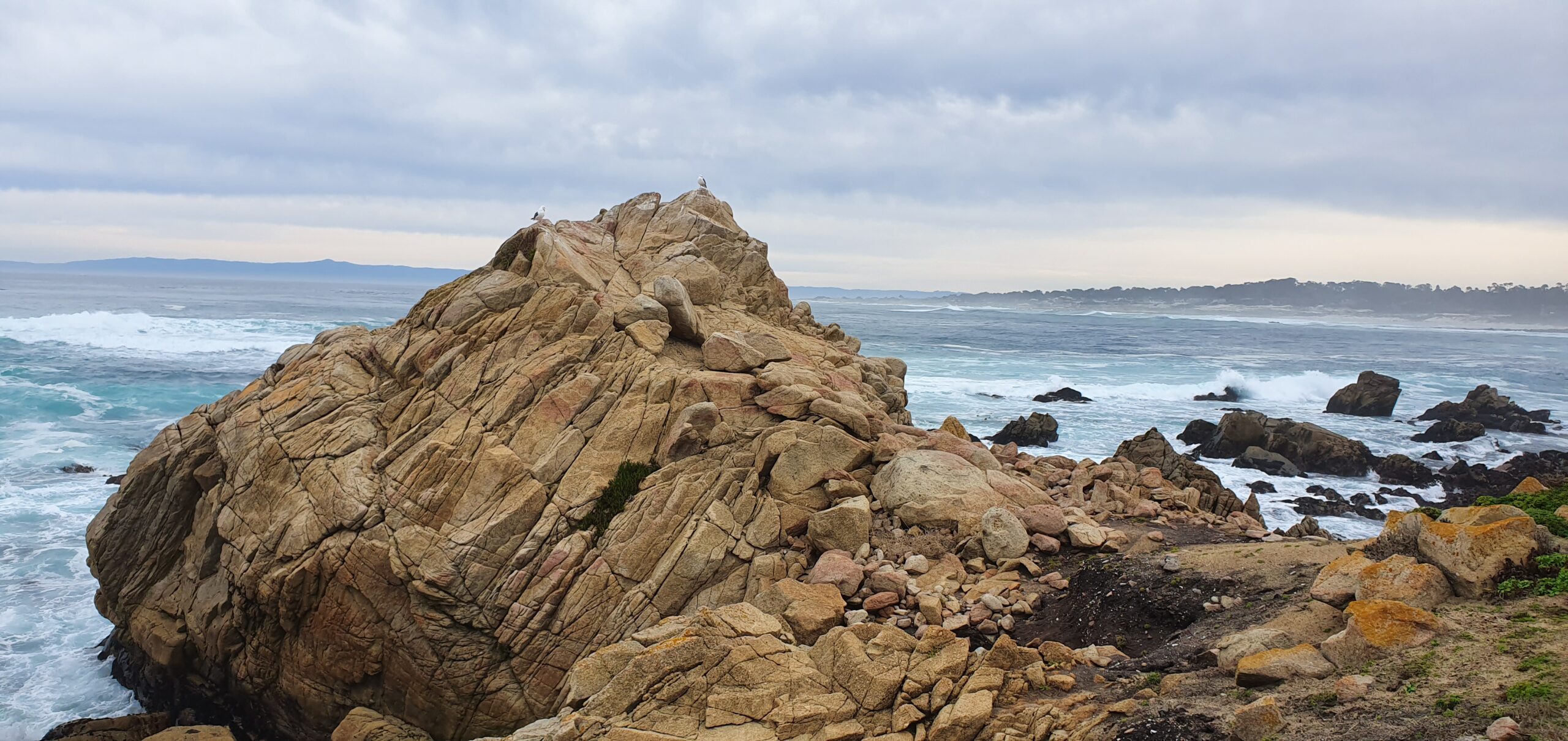 West Coast Road Trip