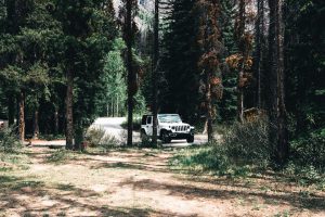 Master the Art of Boondocking at National Forest Service Campgrounds