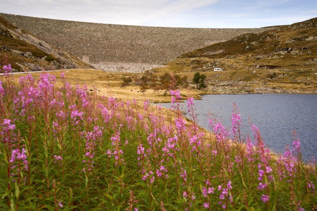 Scheduled roof replacement prevents water damage before it starts
