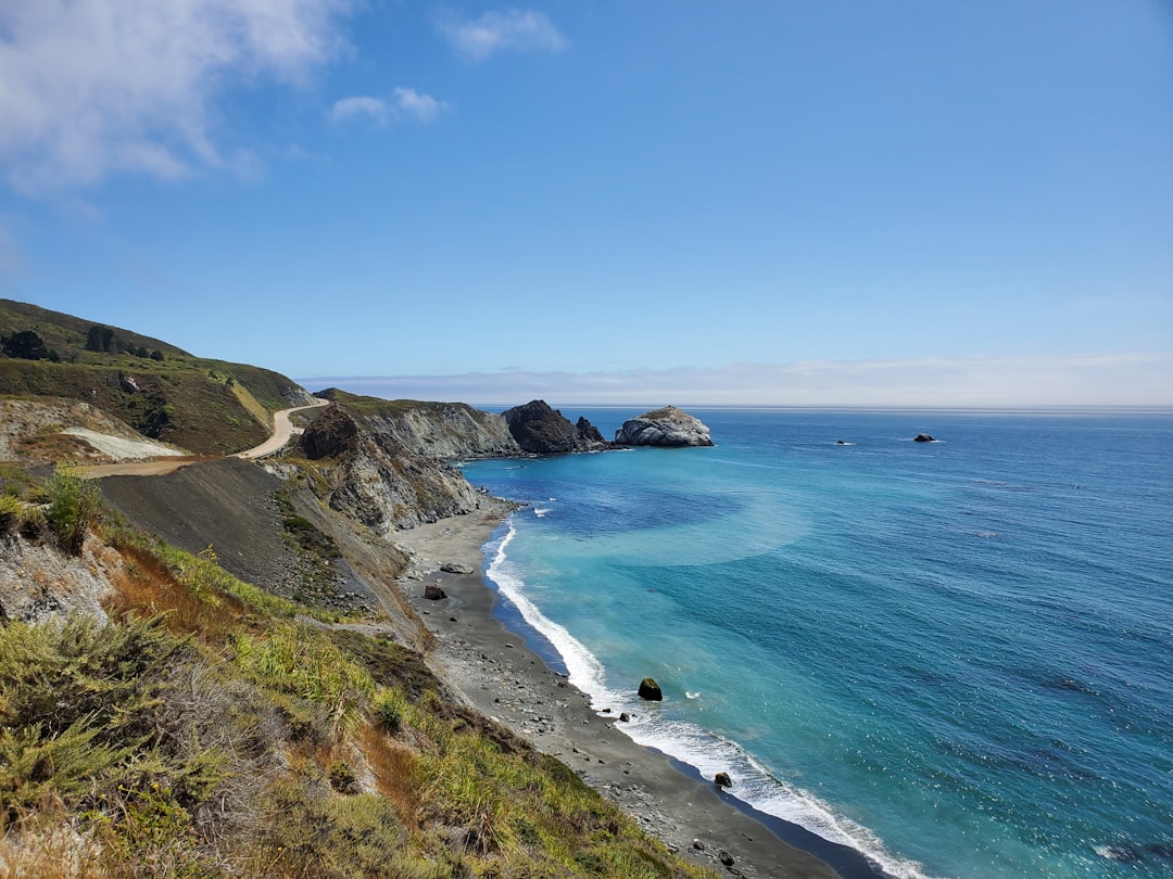 Fern Canyon, California