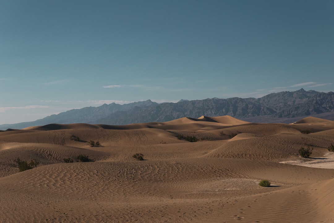 Mesquite Flat Sand Dunes