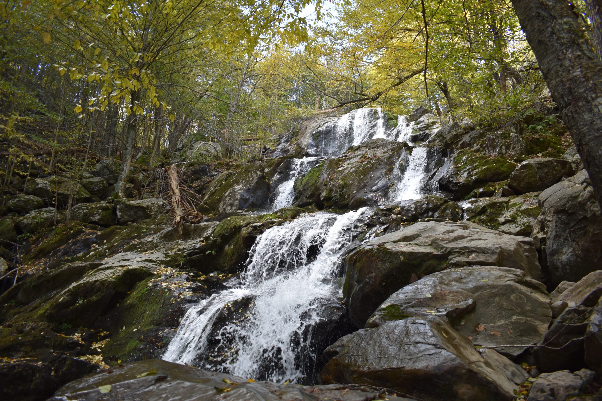 Dark Hollow Falls Trailhead, Virginia