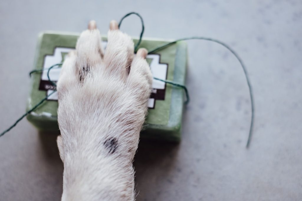 Close-up view of a small dog using a portable artificial turf pet relief station set up next to an RV, showing the green arti
