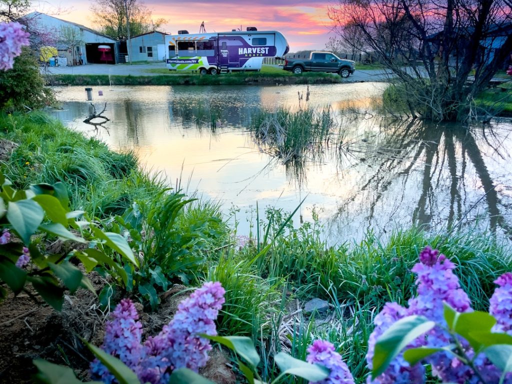 RV lifestyle - Photo by Joel Holland on Unsplash