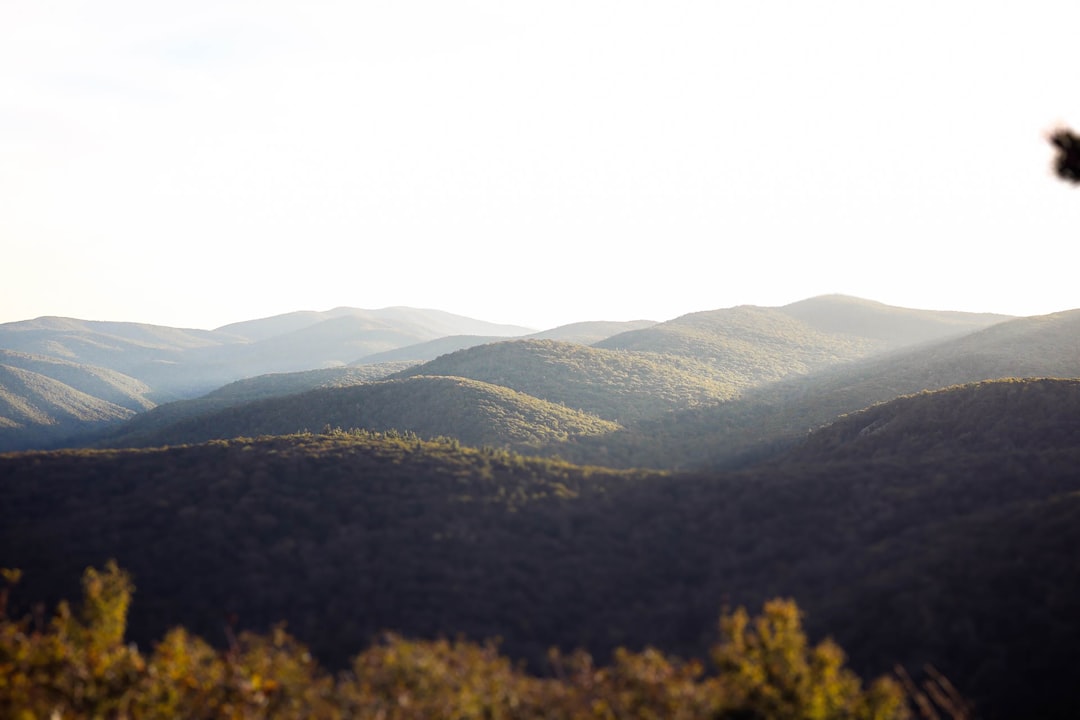 Jewell Hollow Overlook, Virginia