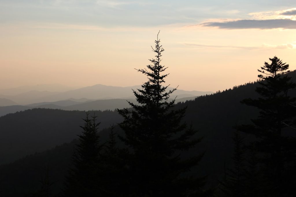 Misty mountain layers at sunrise in Great Smoky Mountains National Park with spring wildflowers in foreground
