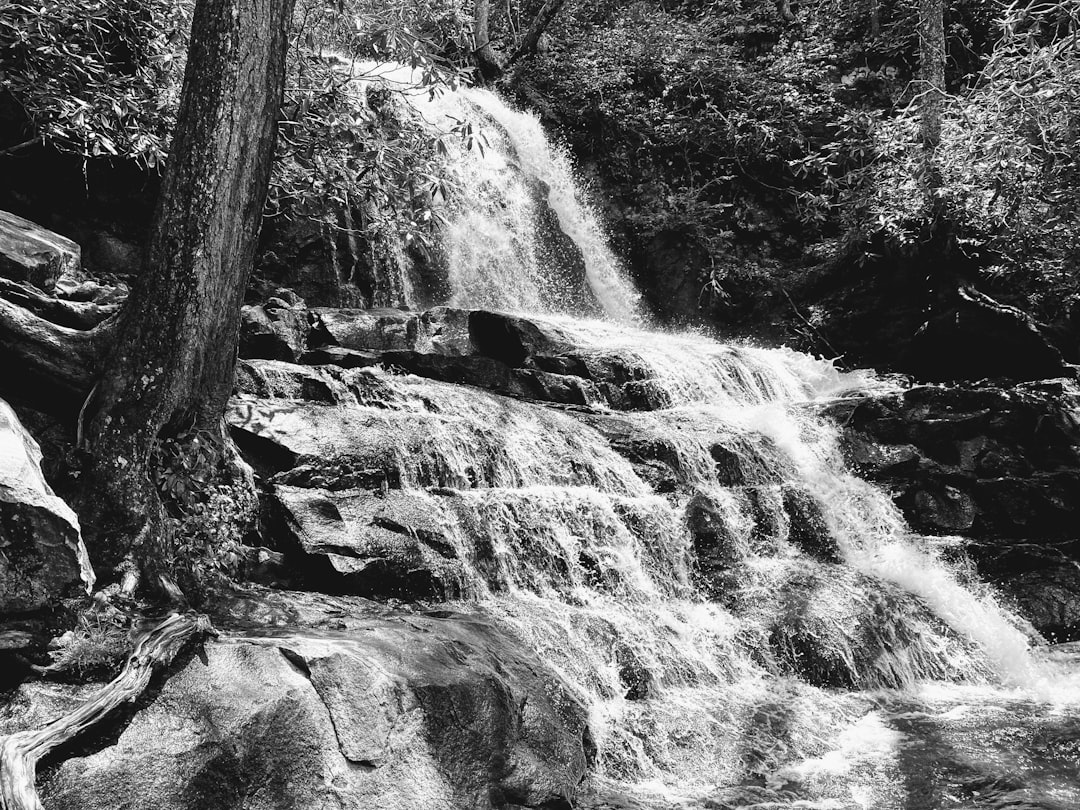 Laurel Falls Trail and Cascades