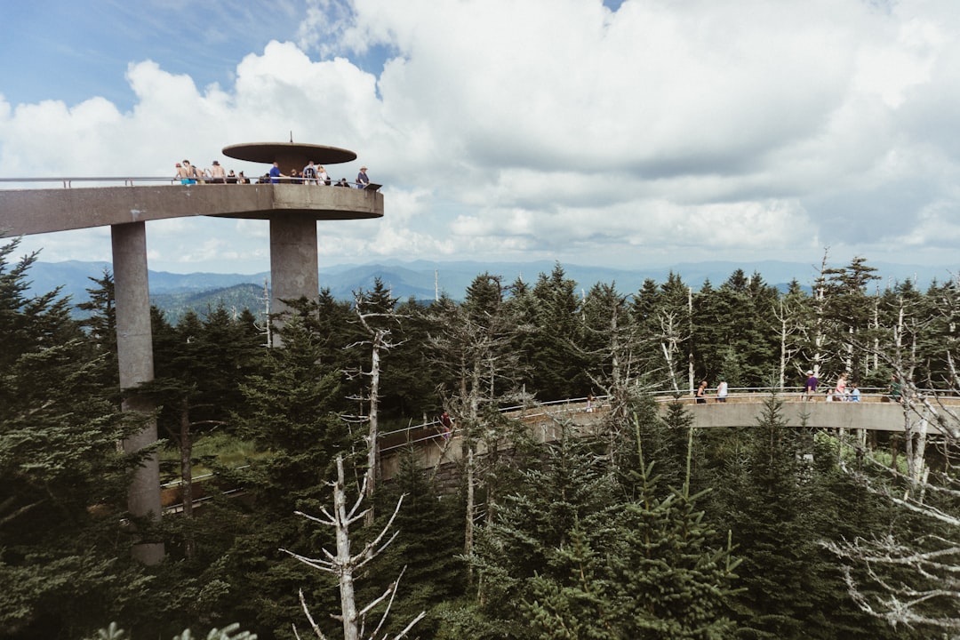 Clingmans Dome Summit Experience