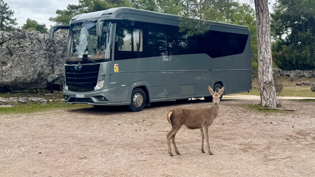 RV lifestyle - Photo by Myra Lange on Unsplash