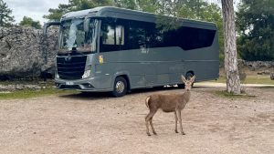 Why Tank Treatments Cause RV Sensor Failures