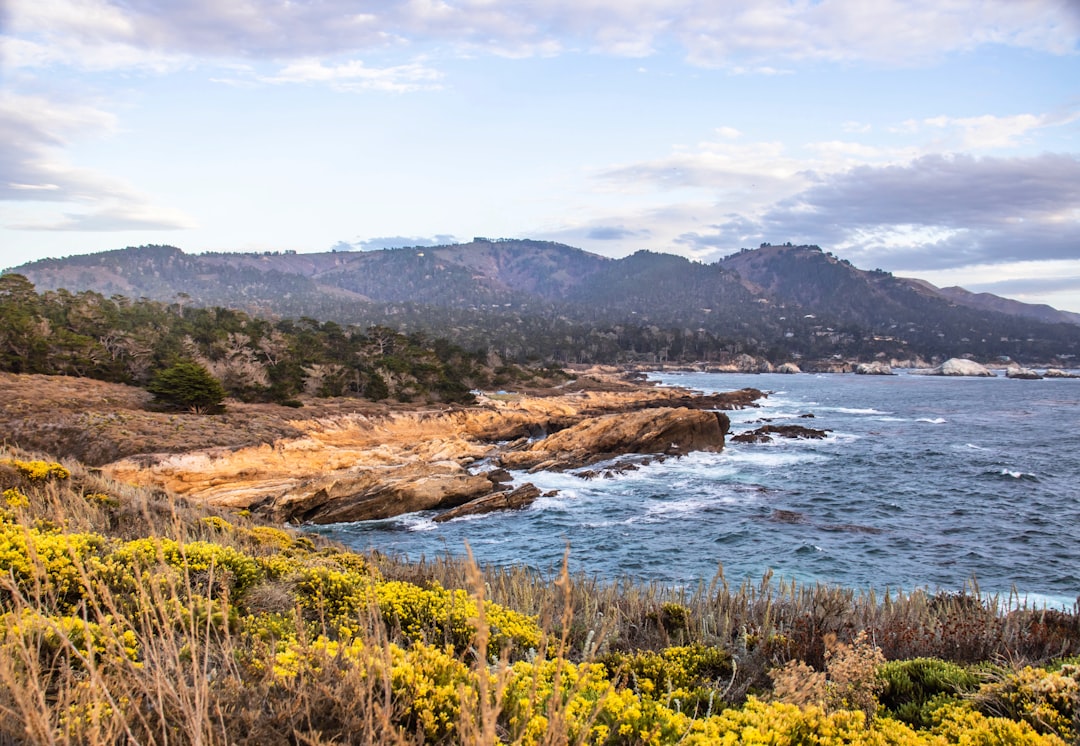 Point Lobos State Natural Reserve, California